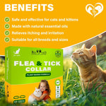 Load image into Gallery viewer, Flea & Tick Collar for Cats 12-Month Protection Essential Oil 1 Count