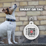 Load image into Gallery viewer, Leather Dog Collar with NASA Design for XSmall Dogs 811 in Neck x 0.5 in Wide