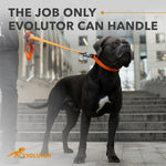 Load image into Gallery viewer, Orange Extra Heavy Duty Dog Leash 4 Ft x 1 in for Large Medium and Small Dogs