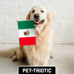 Load image into Gallery viewer, G128 12 Pack Handheld Mexico Mexican Stick Flags 12x18 In Printed 150D Polyester, Country Flag, Solid Wooden Stick, Spear Gold Tip