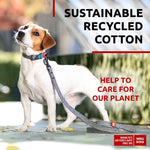Load image into Gallery viewer, Recycled Cotton Dog Leash 6 Ft 10 Ft Eco Friendly Collar for Small Medium & Large Dogs Reflective Dog Leash for Medium Dogs Strong Leashes for Large Breed Dogs Puppy Leash for Small Dogs
