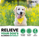 Load image into Gallery viewer, Dog Allergy Relief Chews Dog Itching Skin Relief Treatment Pills 170 Treats