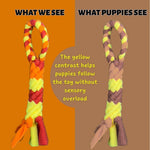 Load image into Gallery viewer, Orange Interactive Tug Toy for Dogs Mental Stimulation Toy Slow Play Treat Dispenser Brain Exercise for Puppies & Seniors Teething Relief Blue Orange Purple (Orange)