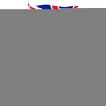 Load image into Gallery viewer, G128 50 Pack Handheld United Kingdom UK Stick Flags 12x18 In Printed 150D Polyester, Country Flag, Solid Wooden Stick, Spear Gold Tip