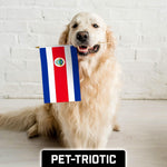 Load image into Gallery viewer, G128 50 Pack Handheld Costa Rica Costa Rican Stick Flags 12x18 In Printed 150D Polyester, Country Flag, Solid Wooden Stick, Spear Gold Tip