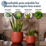 Load image into Gallery viewer, 4 Inch and 6 Inch Terracotta Pot Set of 2 Ceramic Planter Clay Pots for Indoor Plants Succulent Planter with Drainage Hole and Mesh Net DIY Craft Garden & Home Decor