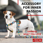 Load image into Gallery viewer, Nylon Dog Leash for Small Medium Dogs 4 Ft Strong Dog Leash for Large Dogs