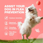 Load image into Gallery viewer, Dog Insects Treatment Chews Prevention for Dogs Natural Dog Insects Control