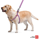 Load image into Gallery viewer, Purple Cotton Dog Harness Eco Friendly Dog Harness for Small Dogs S Size