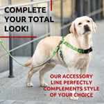 Load image into Gallery viewer, WAUDOG Nylon Dog Leash for Small Dogs and Medium Dogs 4 Ft Strong Dog Leash for Large Dogs Heavy Duty Dog Leashes for Large Breed Dogs & Puppy Leash for Small Boy & Girl Dogs