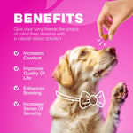 Load image into Gallery viewer, Dog UTI Treatment Dog Cranberry Supplement for Bladder Kidney Health Urinary