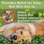 Load image into Gallery viewer, Natural Medicated Dog Shampoo Anti Yeast Anti Itch Dog Shampoo 250ml Healthy