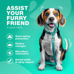 Load image into Gallery viewer, Coprophagia Deterrent No Poo Chews for Dogs Dog Probiotics for Digestive Health