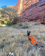 Load image into Gallery viewer, Reflective Dog Vest Hi-Vis L Size 35.75 in Chest x 26.75 in Neck Orange