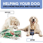 Load image into Gallery viewer, Kinpur Pet Care Calming Chews for Dogs Dog Calming Treats with Hemp Oil, Valerian Root, Vitamin B Dog Anxiety Relief, Separation, Fireworks, Thunderstorms, Vet All Breeds 180 Beef Flavor Chews