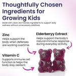 Load image into Gallery viewer, Elderberry Gummies for Kids 3 in 1 Immune Support with Zinc Vitamin C 60 Count Kids Elderberry Gummies for Daily Immunity Vegan Formula for Strong Immune Health
