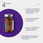 Load image into Gallery viewer, Brain Booster Nootropics Brain Support Supplement for Memory Focus Lions Mane