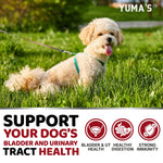 Load image into Gallery viewer, Dog UTI Treatment 170 Treats Cranberry Supplement for Dogs Bladder Control