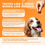 Load image into Gallery viewer, Dog Allergy Relief Chews Itch Relief for Dogs 180 Allergy Chews for Itching Skin with Probiotics, Colostrum, Salmon Oil Allergy, Skin and Coat, Immune, Digestion Support Supplement Hot Spots