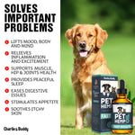 Load image into Gallery viewer, Hеmp Оil Dogs Cats Helps Pets with Аnxiеty Pаin Strеss Slееp Аrthritis