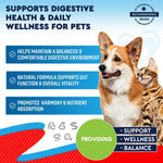 Load image into Gallery viewer, Natural Intestinal Defense for Dogs Cats Herbal Cleanse with Wormwood Black Walnut Promotes Healthy Gut Flora Balance Advanced Broad Spectrum Formula 2 Pack 60ml