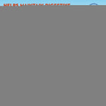 Load image into Gallery viewer, Probiotics Prebiotics with Enzymes for Dogs and Cats Digestive Gut Flora Health
