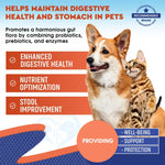 Load image into Gallery viewer, Probiotics & Prebiotics for Dogs & Cats Digestive Enzymes Gut Health
