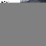 Load image into Gallery viewer, Hеmp Оil Dogs Cats Helps Pets with Аnxiеty Pаin Strеss Slееp Аrthritis