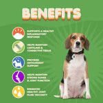 Load image into Gallery viewer, Dog Hip and Joint Supplement with Glucosamine Turmeric for Dogs Chondroitin MSM