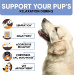 Load image into Gallery viewer, Kinpur Pet Care Calming Chews for Dogs Dog Calming Treats with Hemp Oil, Valerian Root, Vitamin B Dog Anxiety Relief, Separation, Fireworks, Thunderstorms, Vet All Breeds 180 Beef Flavor Chews