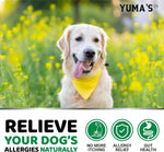 Load image into Gallery viewer, YUMA'S 2 Pack Dog Allergy Relief Chews Dog Itching Skin Relief Treatment Pills Anti Itch for Dogs Itchy and Paw Licking Dry Skin & Hot Spots Omega 3 Fish Oil Skin & Coat Supplement