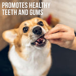Load image into Gallery viewer, Chicken Jerky Dog Treats Human Grade Grain Free Organic Meat All Natural High Protein Dried Strips Best Chews for Training Small & Large Dogs Bulk Soft Pack Made for USA 24 Oz. (Sweet Potato)