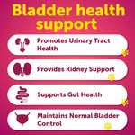 Load image into Gallery viewer, Dog UTI Treatment Cranberry Supplement and Bladder Control for Dogs UTI Chewable Treats (2 Pack) 240 Chews for Kidney Support Bladder Stones Urinary Tract Infection Incontinence Treatment