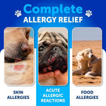 Load image into Gallery viewer, Dog Allergy Relief Chews Itching Skin Relief for Dogs Fish Oil Omega 3