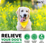 Load image into Gallery viewer, Dog Allergy Relief Chews 240 Treats Dog Itching Skin Relief Treatment Pills Anti Itch Itchy and Paw Licking Hot Spots Omega 3 Fish Oil Dry Skin & Coat Supplement