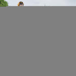 Load image into Gallery viewer, Clear Hip & Joint Health for Dogs