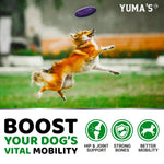 Load image into Gallery viewer, Glucosamine for Dogs Hip & Joint Supplement 170 Chews