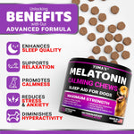 Load image into Gallery viewer, Melatonin Calming Chews for Dogs 170 Chews Dog Stress and Anxiety Relief