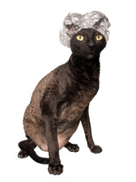 Load image into Gallery viewer, Kotomoda 20 Shower Caps for Sphynx Cats and Other Hairless Cats in a Tin Gift Box
