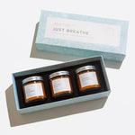 Load image into Gallery viewer, 3 pcs Aromatherapy Scented Candles Just Breathe Candles Gift Set for Women Hand
