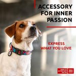 Load image into Gallery viewer, Nylon Dog Collar Adjustable Small Dogs 9–14 in Neck x 3/5 in Wide