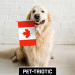 Load image into Gallery viewer, G128 50 Pack Handheld Canada Canadian Stick Flags 12x18 In Printed 150D Polyester, Country Flag, Solid Wooden Stick, Spear Gold Tip