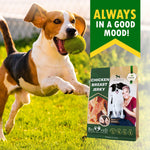 Load image into Gallery viewer, Chicken Jerky Dog Treats All Natural and Organic Healthy Snacks for Dogs 300 G