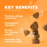 Load image into Gallery viewer, Dog Allergy Relief Chews Itch Relief for Dogs Anti Itch Dog Allergy Chews US
