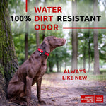 Load image into Gallery viewer, Red Waterproof Dog Collar 12 - 19 inch x 1 inch Wide Metal Buckle Red Collar