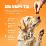 Load image into Gallery viewer, Dog Allergy Relief Chews Itch Relief Anti Itch Treats US Formulated Dog Itching