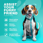 Load image into Gallery viewer, No Poo Chews for Dogs Coprophagia Deterrent Forbid for Dogs Stool Eating