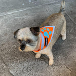 Load image into Gallery viewer, Reflective Dog Bandana Hi-Vis S Size 10 in Neck Orange