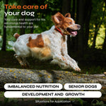 Load image into Gallery viewer, Dog Vitamins 15 in 1 Multivitamin Chews Joint Supplement for Hip Joint Immune