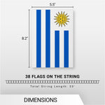 Load image into Gallery viewer, G128 Uruguay Uruguayan Bunting Banner Flag 8.2 x 5.5 Inch, Full String 33 Feet Printed 150D Polyester, Decorations For Bar, School, Festival Events Celebration